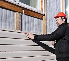 Best Siding Painting and Refinishing  in St John, IN